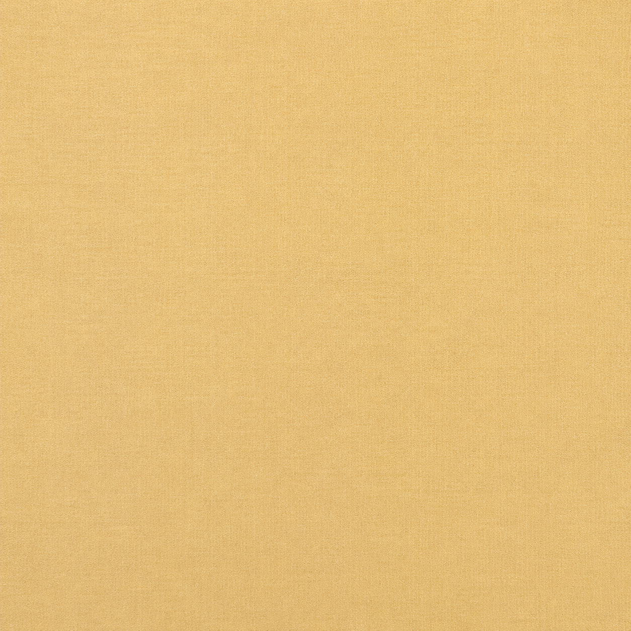 Premium Pure Mysore Silk Saree with Elegant Traditional Golden Zari Border - Image 3