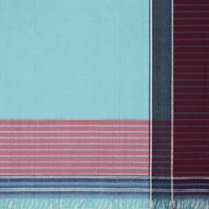 Punarjeevana Pastel Green Handwoven Patteda Anchu Cotton Saree – Reversible Traditional Handloom Saree - Image 5