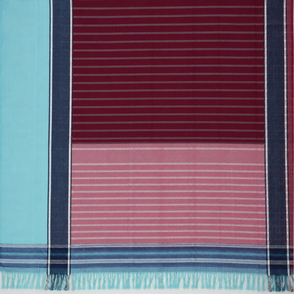 Punarjeevana Pastel Green Handwoven Patteda Anchu Cotton Saree – Reversible Traditional Handloom Saree